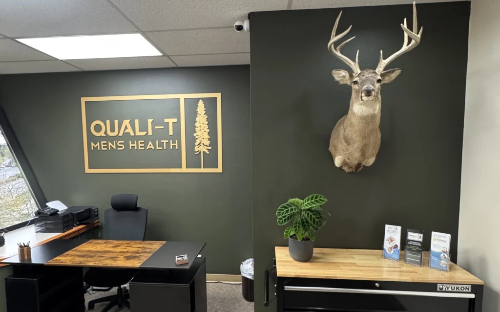 Elk taxidermy mount in office